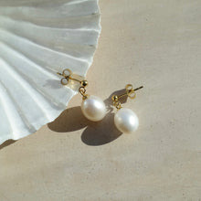 Load image into Gallery viewer, Natural pearl drop earrings in gold