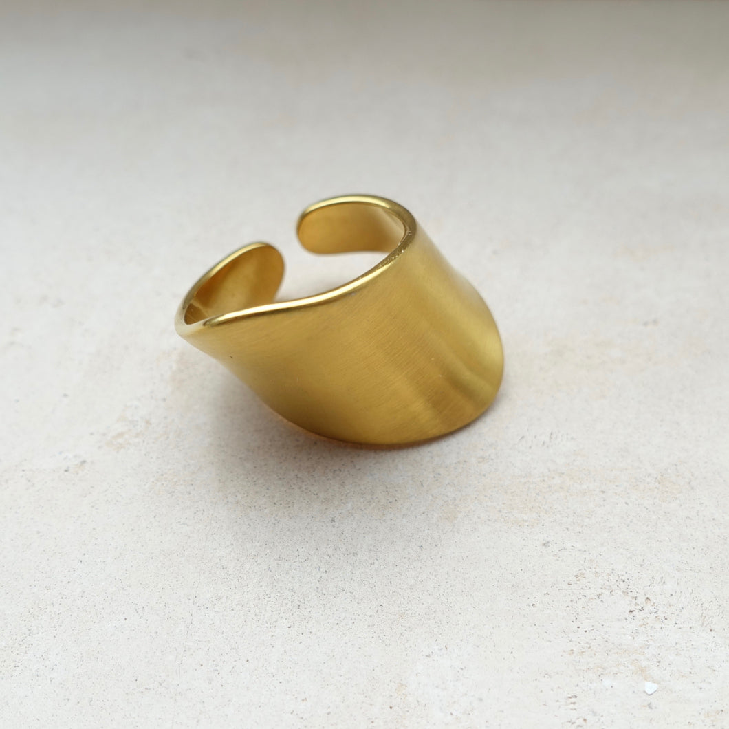 Long and wide matte gold ring