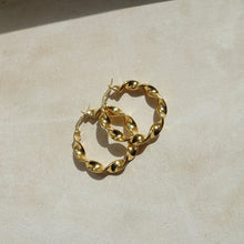 Load image into Gallery viewer, Twisted Gold Hoop Earrings - briellajewellery
