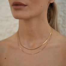Load image into Gallery viewer, Double layered gold necklace

