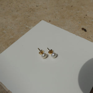 Natural Freshwater Pearl Stud Earrings - briellajewellery